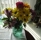 The flowers I brought Rezvanieh
